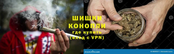 индика Сатка