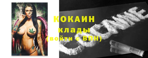 индика Сатка