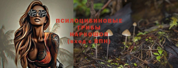 круглые Аркадак